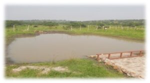 Afrique-Développement : L'Egypte traduit les discours en actes 5 - Le Progrès Egyptien