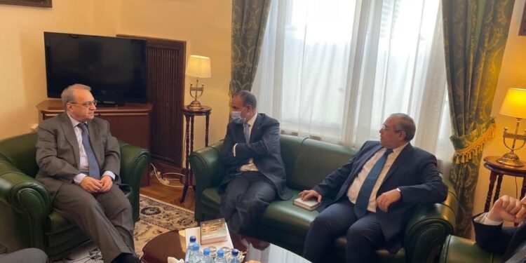 L’Egypte se félicite du grand tournant dans ses relations avec la Russie 1 - Le Progrès Egyptien