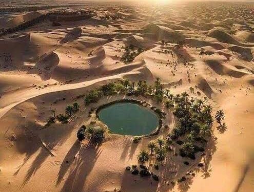 Siwa, la perle du Sahara 2 - Le Progrès Egyptien Siwa, la perle du Sahara 1 - Le Progrès Egyptien