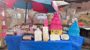 Mouled : Joie et recueillement 3 - Le Progrès Egyptien