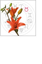 Un horoscope florial 5 - Le Progrès Egyptien