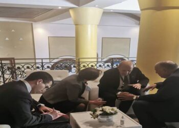 Le ministre égyptien des AE rencontre son homologue français