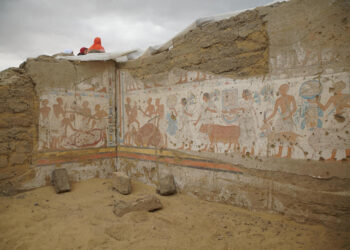 Saqqarah : Découverte de la tombe du trésorier sous Ramsès II