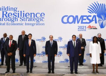 Al-Sissi préside le 21e Sommet du COMESA