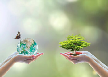 L’environnement sain, un droit de l’Homme