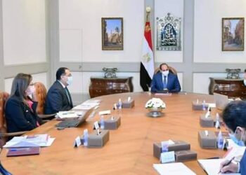 Le président examine le projet de développement de la famille égyptienne 