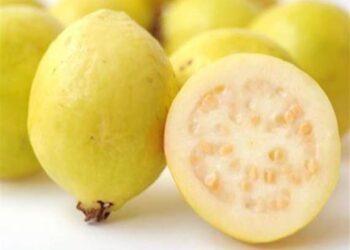 Fainéant … ou lame à rasoir ?