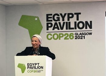 L’Egypte lance sa stratégie pour le changement climatique 2050