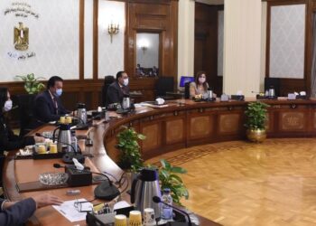 Madbouli examine le projet national de développement de la famille