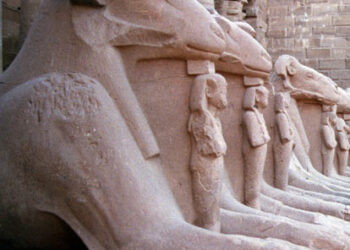 Le sphinx criocéphale