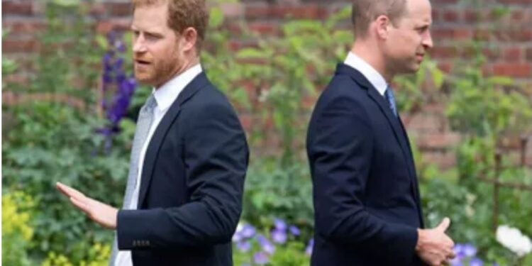 William et Harry en «guerre» : le documentaire qui enrage la famille royale 1 - Le Progrès Egyptien