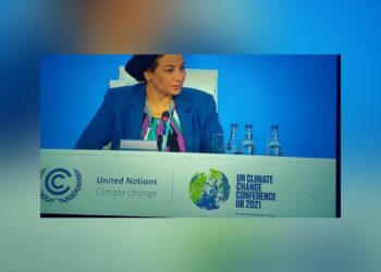 COP26 : 80 milliards de dollars pour aider les pays en développement