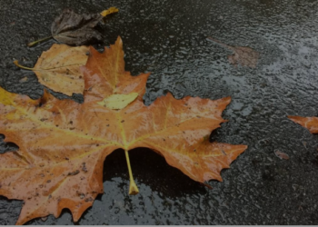 Météo-France : Dimanche  pluvieux pour l’Hexagone