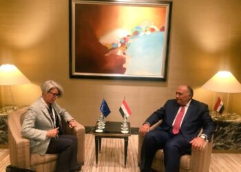 Entretien Choucri-Weber