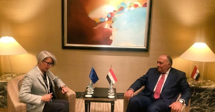 Entretien Choucri-Weber 1 - Le Progrès Egyptien