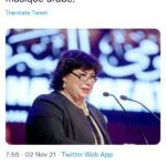 “L’Allée des Béliers” et le Festival de la musique au centre des conversations 19 - Le Progrès Egyptien