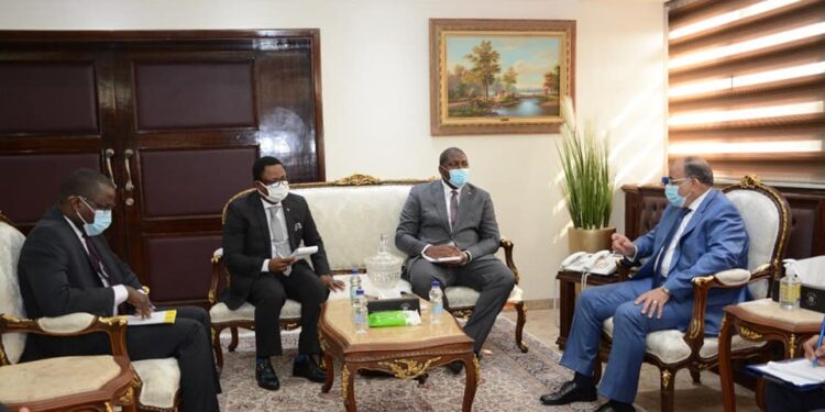 Egypte-Cameroun : Coopération dans l’industrie du bois 1 - Le Progrès Egyptien