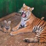 Modernisation du Zoo et du jardin botanique d’Al-Orman 6 - Le Progrès Egyptien Modernisation du Zoo et du jardin botanique d’Al-Orman 5 - Le Progrès Egyptien