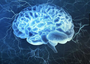 Les particularités du  cerveau  des  gauchers