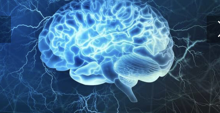 Les particularités du cerveau des gauchers 2 - Le Progrès Egyptien Les particularités du cerveau des gauchers 1 - Le Progrès Egyptien
