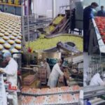 Industrie : Du local au mondial 4 - Le Progrès Egyptien Industrie : Du local au mondial 3 - Le Progrès Egyptien