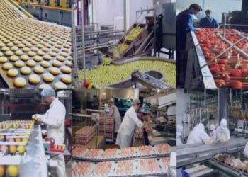 Industrie : Du local au mondial