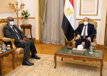 Egypte-Japon : Coopération renforcée tous-azimuts