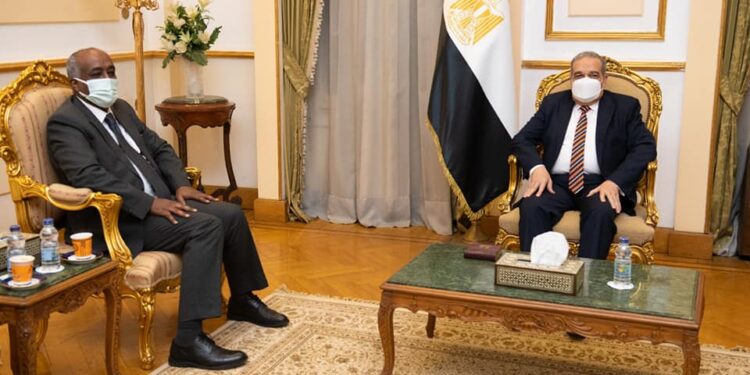 Egypte-Japon : Coopération renforcée tous-azimuts 1 - Le Progrès Egyptien