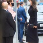 Letizia passe du rose au noir et de la Galice à la Navarre 3 - Le Progrès Egyptien