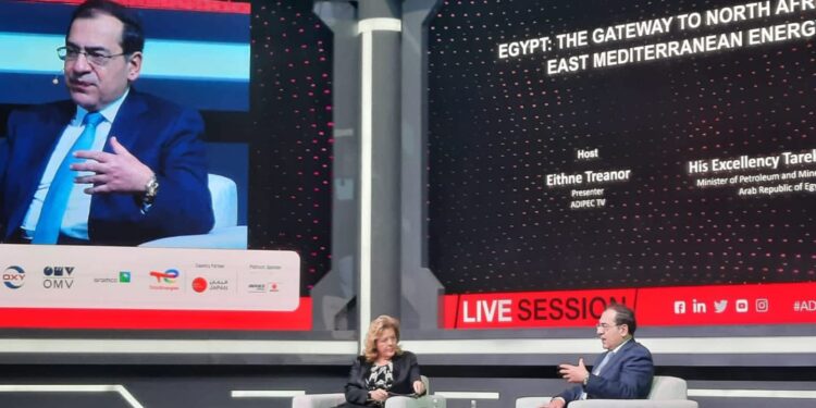 El-Molla : Les défis transformés en succès 1 - Le Progrès Egyptien