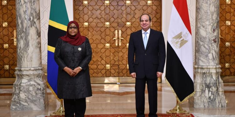 Egypte-Tanzanie : Concertations autour des dossiers régionaux 1 - Le Progrès Egyptien