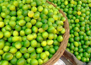 Qualité versus quantité !