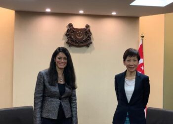 Entretien égypto-singapourien sur les futures opportunités de coopération bilatérale