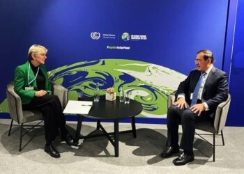 Energie : L’Egypte et les Etats-Unis renforcent leur partenariat