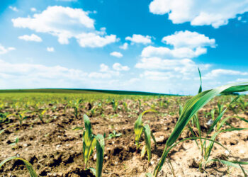 Climat : Les ressources alimentaires en risque