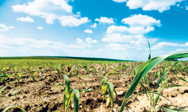 Climat : Les ressources alimentaires en risque 2 - Le Progrès Egyptien Climat : Les ressources alimentaires en risque 1 - Le Progrès Egyptien
