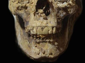 Twitter à l’égyptienne 3 - Le Progrès Egyptien