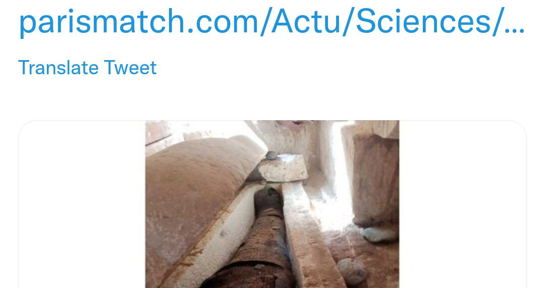 Twitter à l’égyptienne 1 - Le Progrès Egyptien