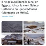 “Brrr…”, crient les internautes 5 - Le Progrès Egyptien