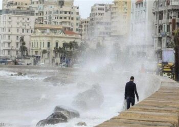 Suspension des cours demain jeudi à Alexandrie