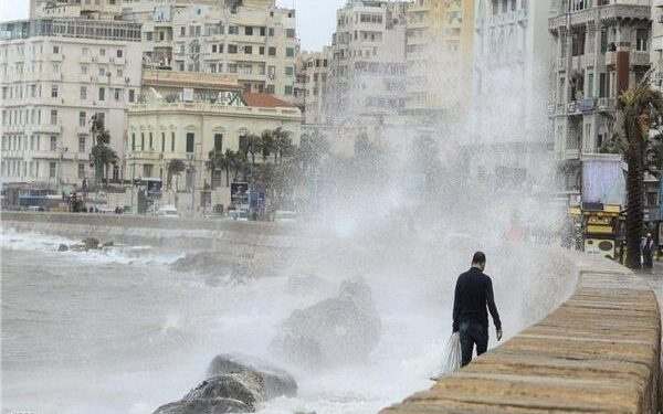 Suspension des cours demain jeudi à Alexandrie 2 - Le Progrès Egyptien Suspension des cours demain jeudi à Alexandrie 1 - Le Progrès Egyptien