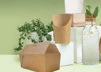 Emballages moins polluants, défi pour le E-commerce