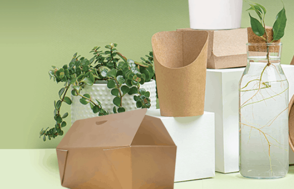 Emballages moins polluants, défi pour le E-commerce 2 - Le Progrès Egyptien Emballages moins polluants, défi pour le E-commerce 1 - Le Progrès Egyptien
