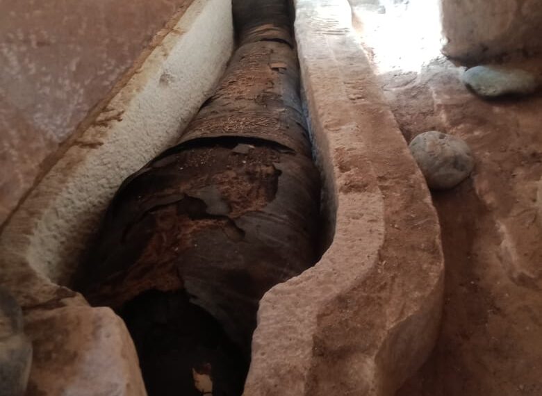 Découverte de deux tombes à Minya 1 - Le Progrès Egyptien