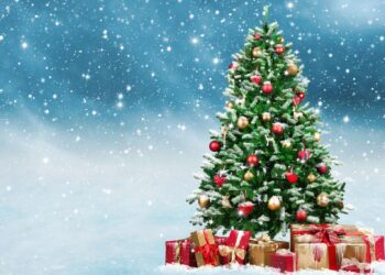Naturel ou artificiel, quel sapin est plus vert ?