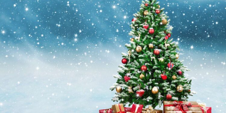 Naturel ou artificiel, quel sapin est plus vert ? 2 - Le Progrès Egyptien Naturel ou artificiel, quel sapin est plus vert ? 1 - Le Progrès Egyptien