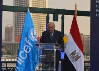 Choucri : L’Egypte accorde un vif intérêt aux droits de l’homme