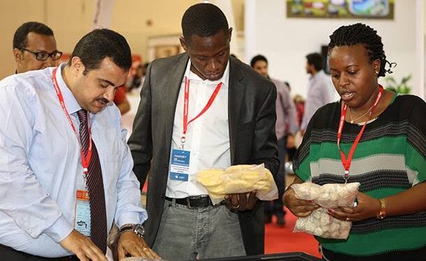 Présence commerciale renforcée en Afrique 2 - Le Progrès Egyptien Présence commerciale renforcée en Afrique 1 - Le Progrès Egyptien
