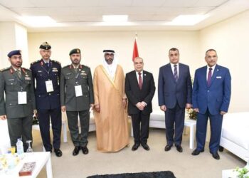 Entretien égypto-émirati sur la coopération militaire