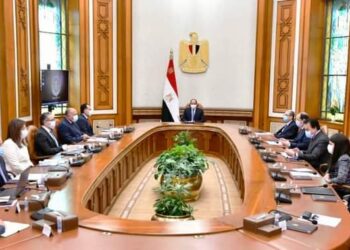 Al-Sissi examine les préparatifs de la COP27 